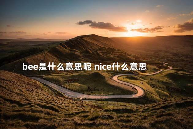 bee是什么意思呢 nice什么意思